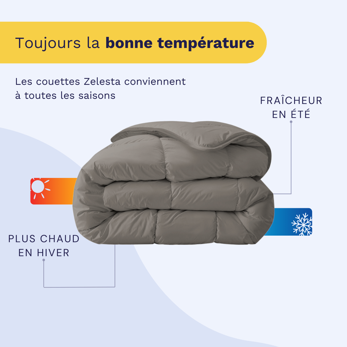 Zelesta Royalbed - Gris Tendre