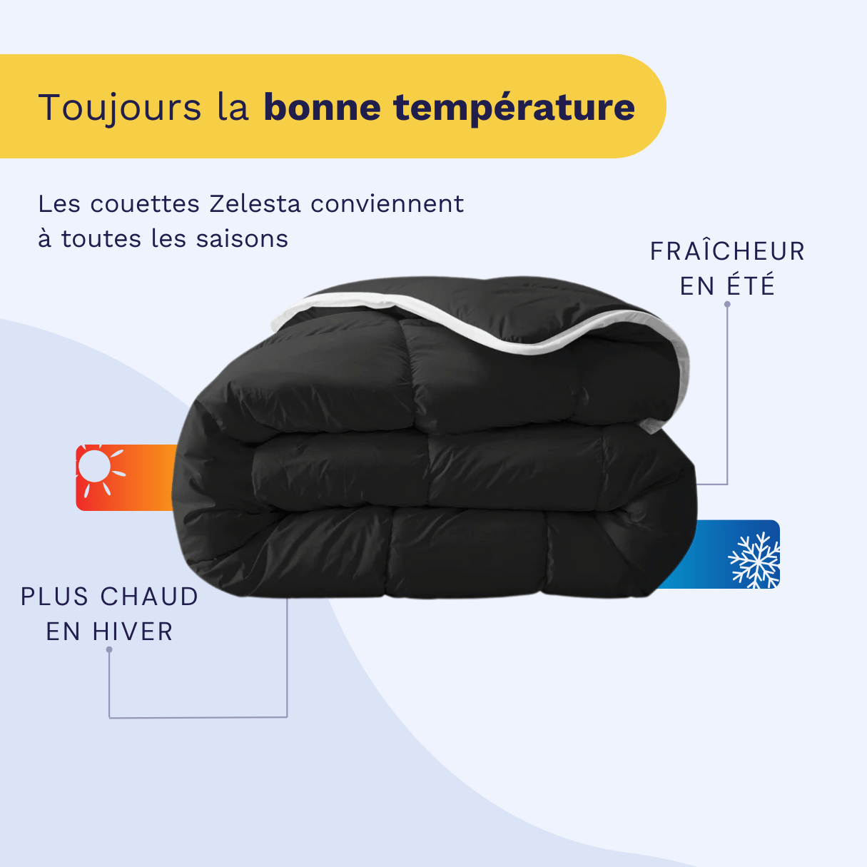 Zelesta Royalbed - Noir