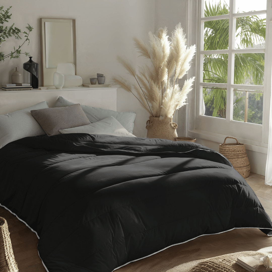 Zelesta Royalbed - Noir