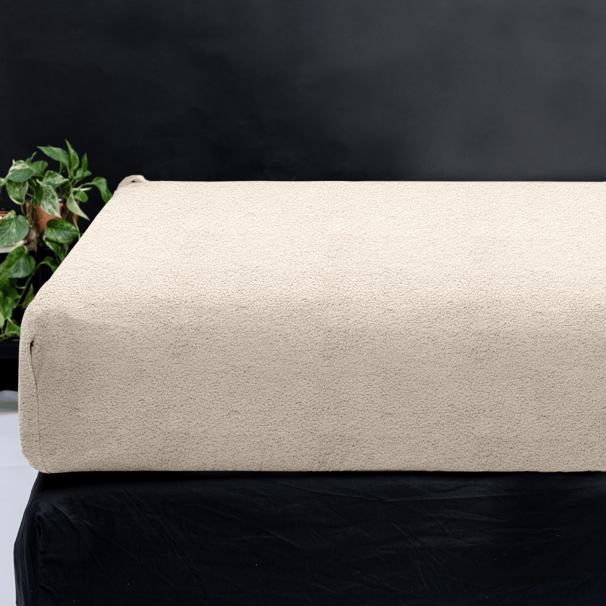 Drap-housse Teddy Creme