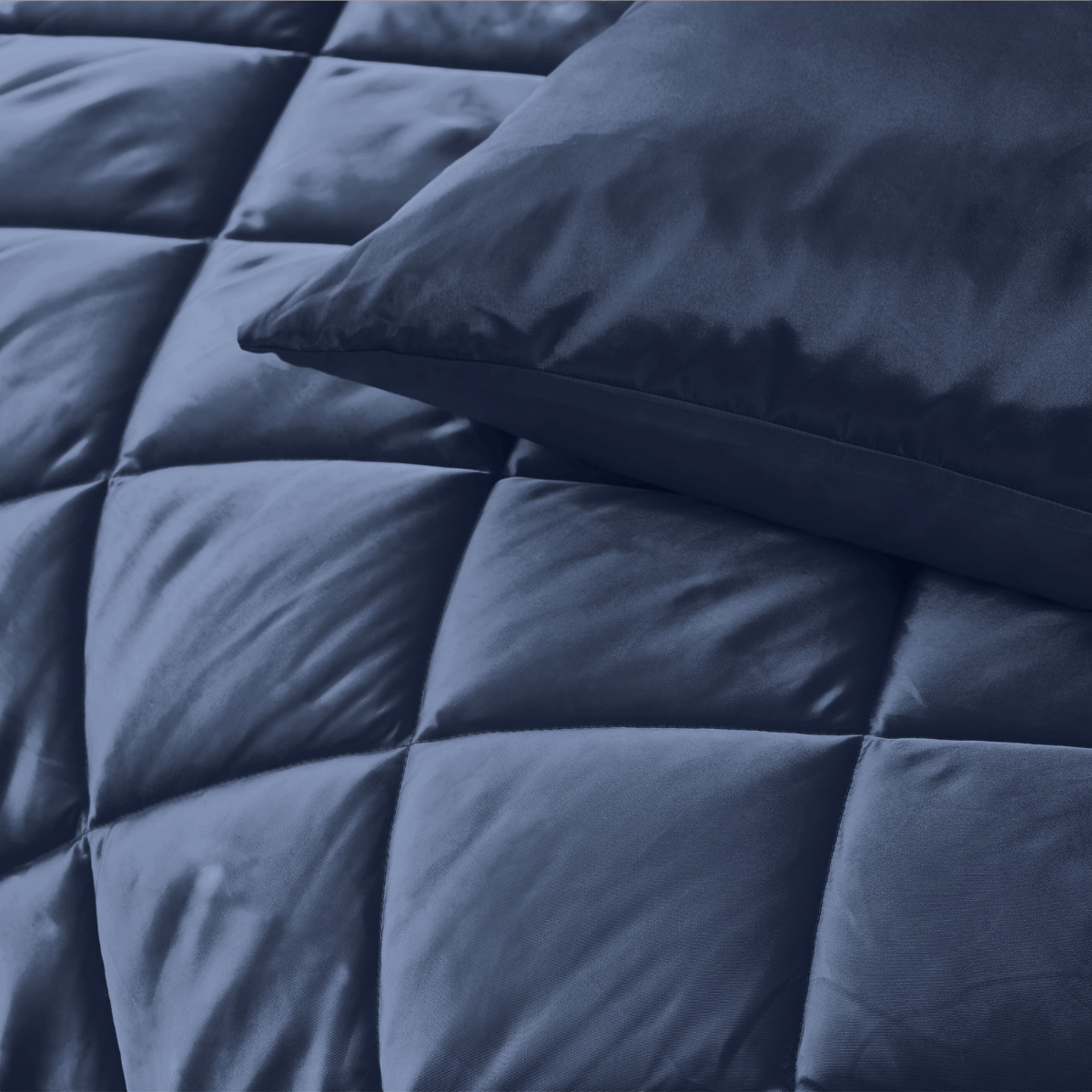 Zelesta Beautybed - Bonheur Bleu