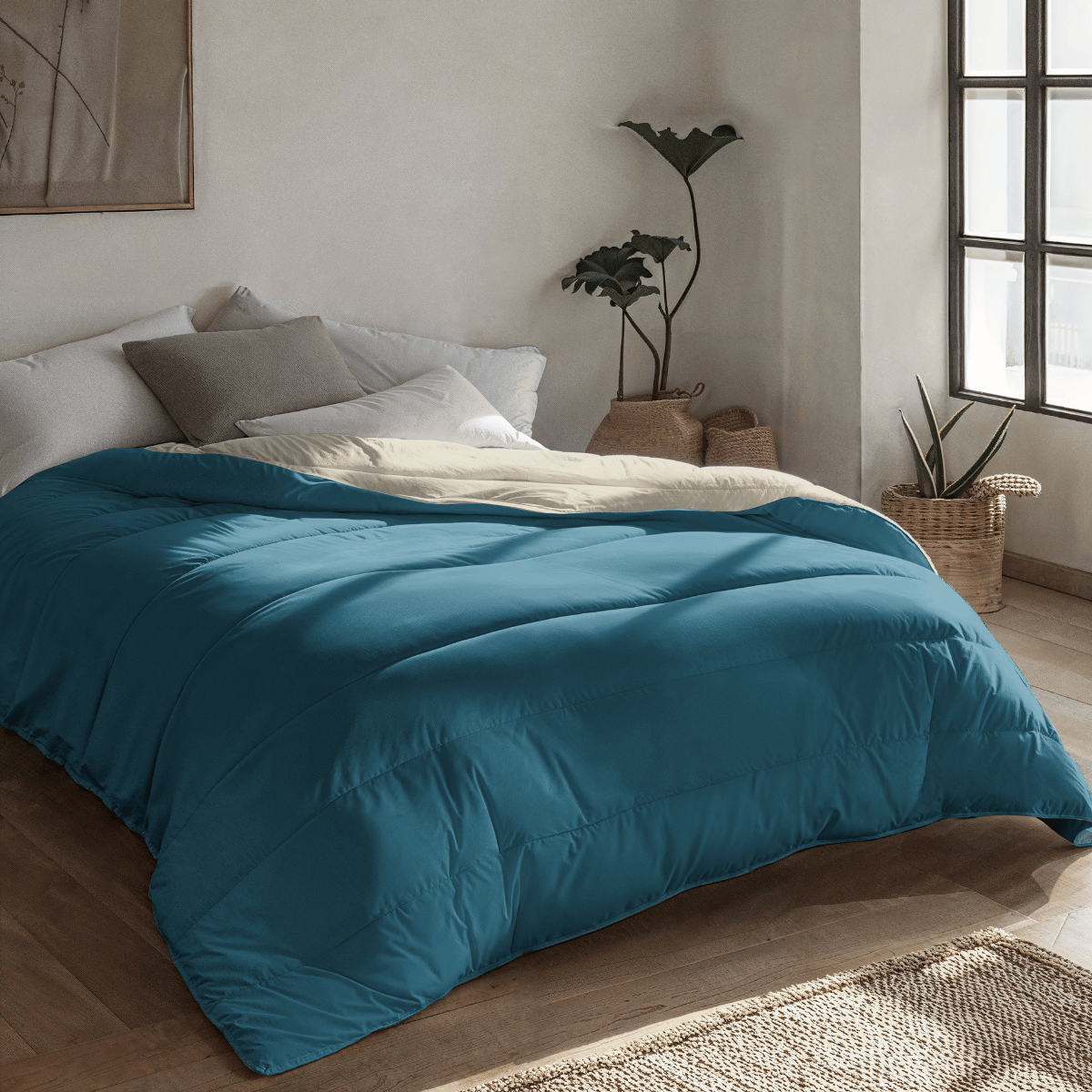 Zelesta-Royalbed-Pétrole-Et-Plage-de-Sable