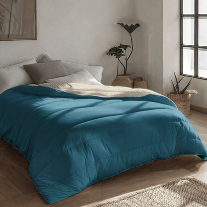 Zelesta-Royalbed-Pétrole-Et-Plage-de-Sable