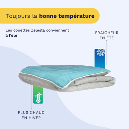 Zelesta Easybed Light - Gris clair & Vert de mer