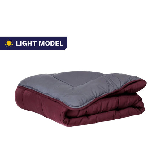 Zelesta Easybed Light - Violet & Anthracite