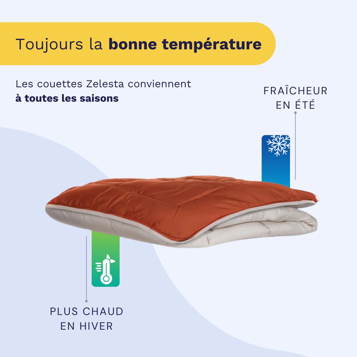 Zelesta Easybed Light - Gris clair & Gingembre