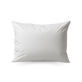 Zelesta Premiumbed Taies d'Oreiller - Set de 2 - Soie & Crème de Noix de Coco