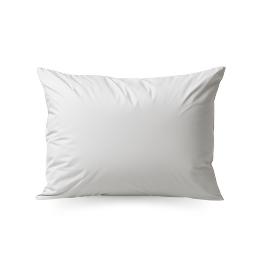 Zelesta Premiumbed Housse de coussin set de 2 - Soie & Crème de Noix de Coco