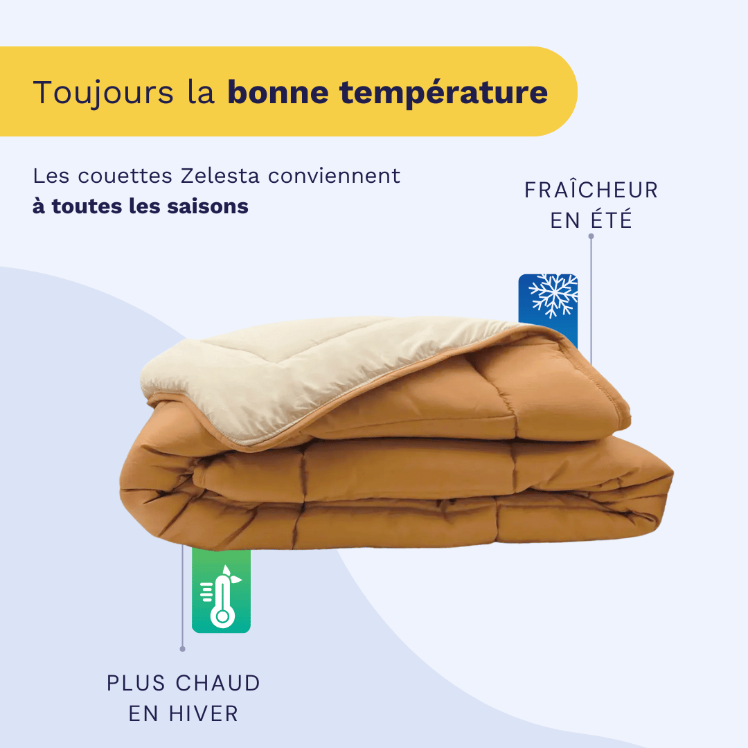 Zelesta Easybed Light - Bronze brun & Lin