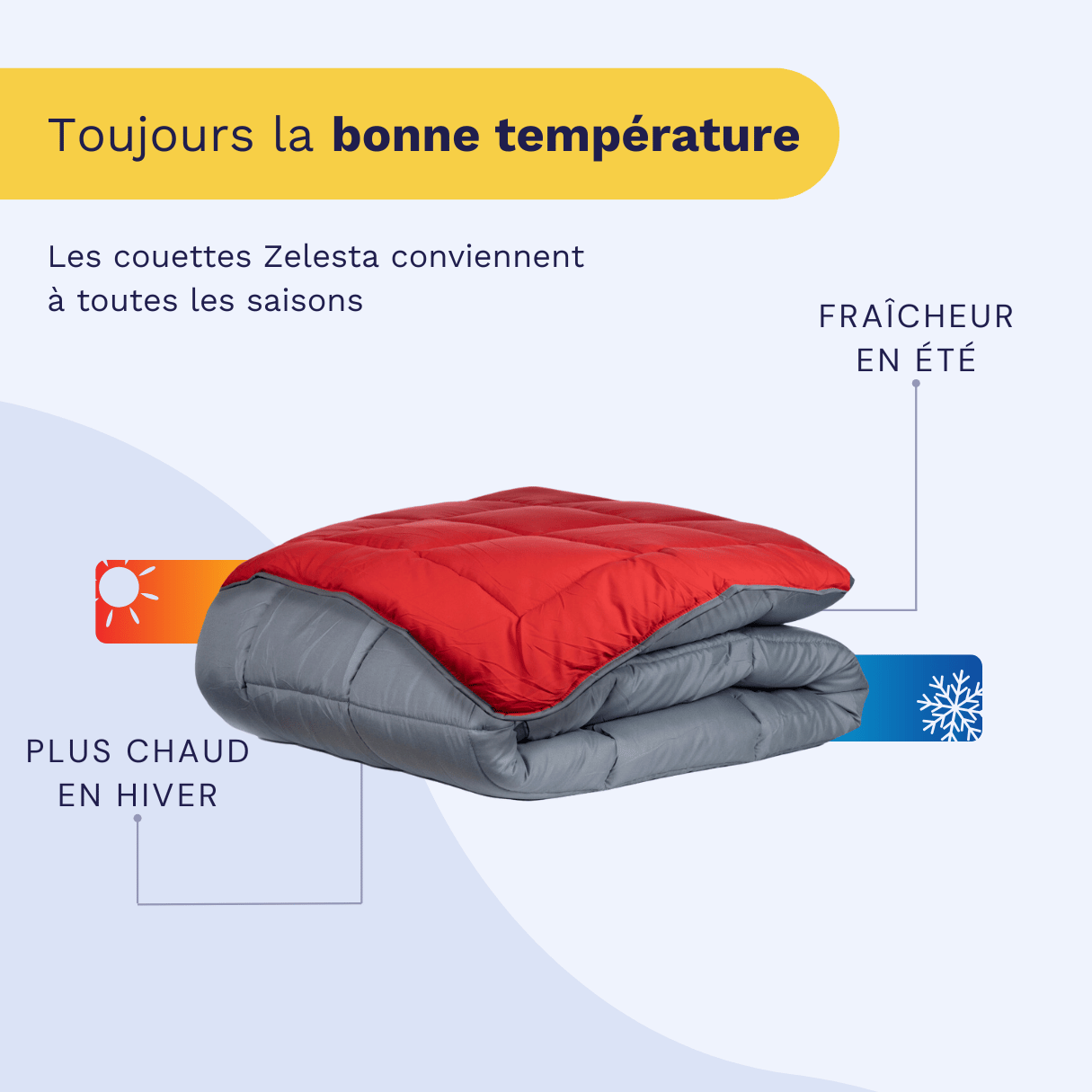 Zelesta Easybed - Anthracite & Rouge