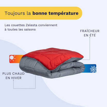 Zelesta Easybed - Anthracite & Rouge