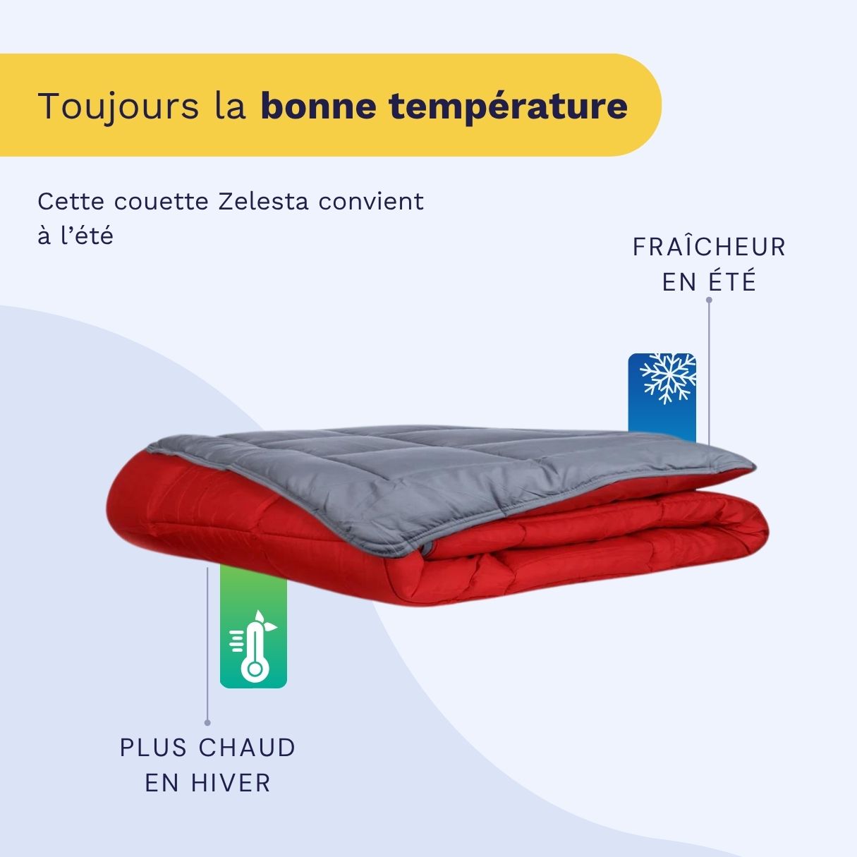 Zelesta Easybed Light - Anthracite & Rouge
