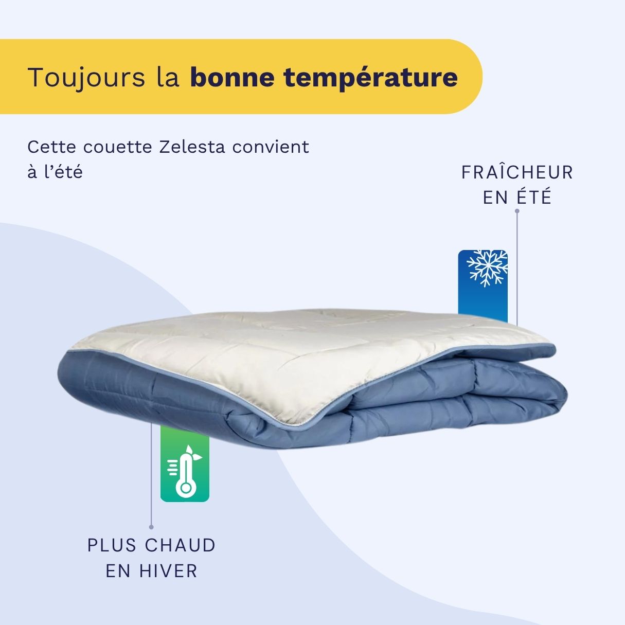 Zelesta Easybed Light - Bleu & Mastic