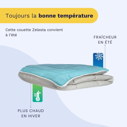 Zelesta Easybed Light - Gris Clair & Vert de Mer