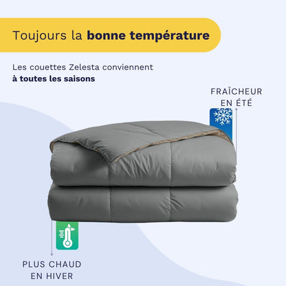 Zelesta Premiumbed Light Coton - Taupe & Anthracite