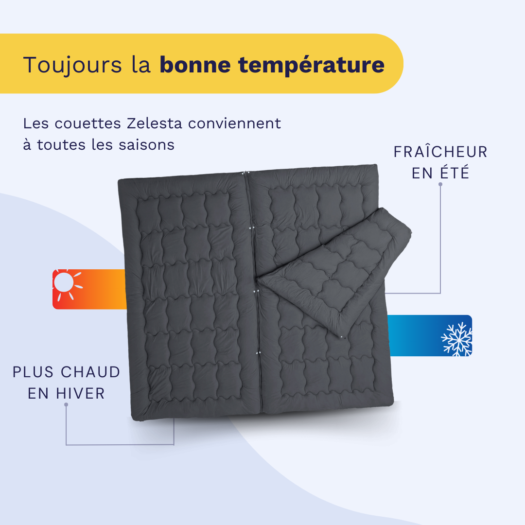Zelesta Flexibed - Anthracite