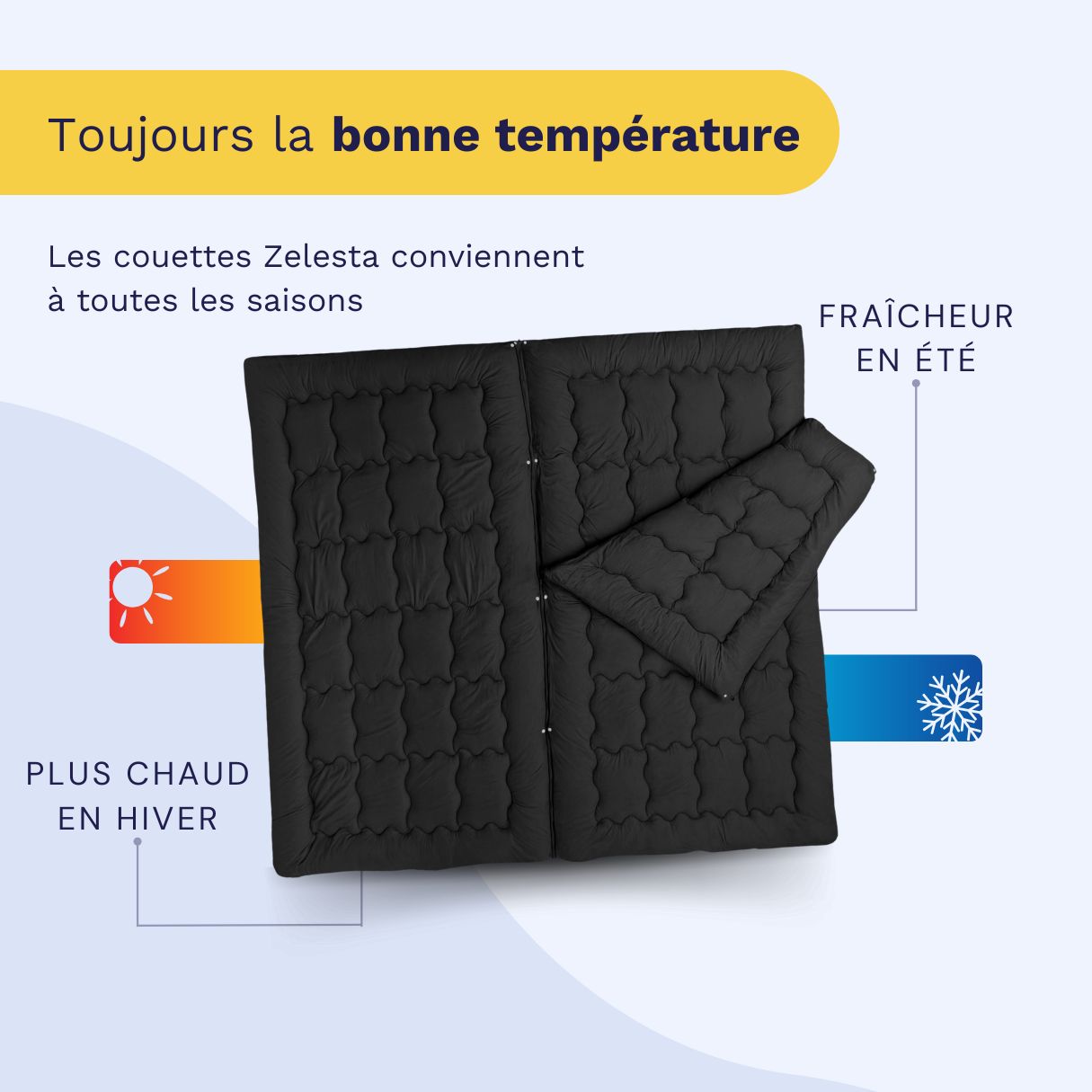 Zelesta Flexibed - Noir 200x220cm