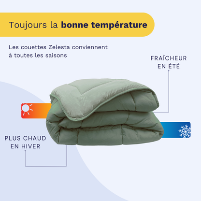 Zelesta Petitbed - Océan & Vert