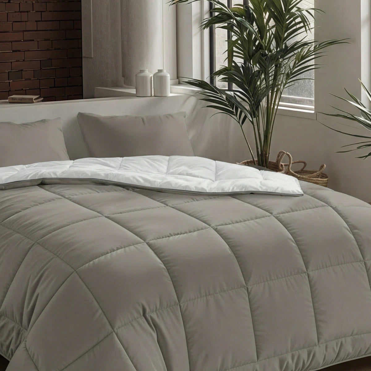 Zelesta Pure Unie Couette Coton - Gris Anthracite