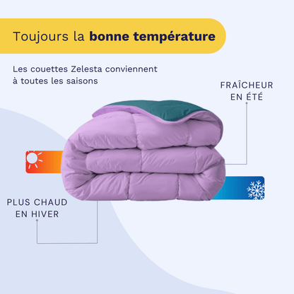 Zelesta Royalbed - Pétrole & Lilas 240x200cm