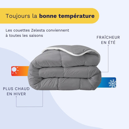 Zelesta Royalbed - Anthracite
