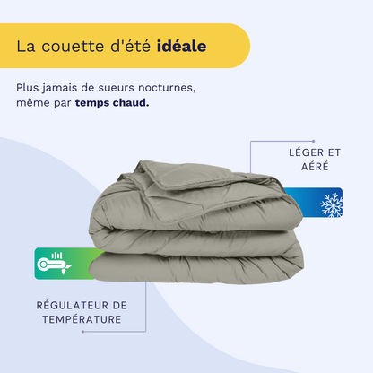 Zelesta Royalbed Light - Gris Tendre