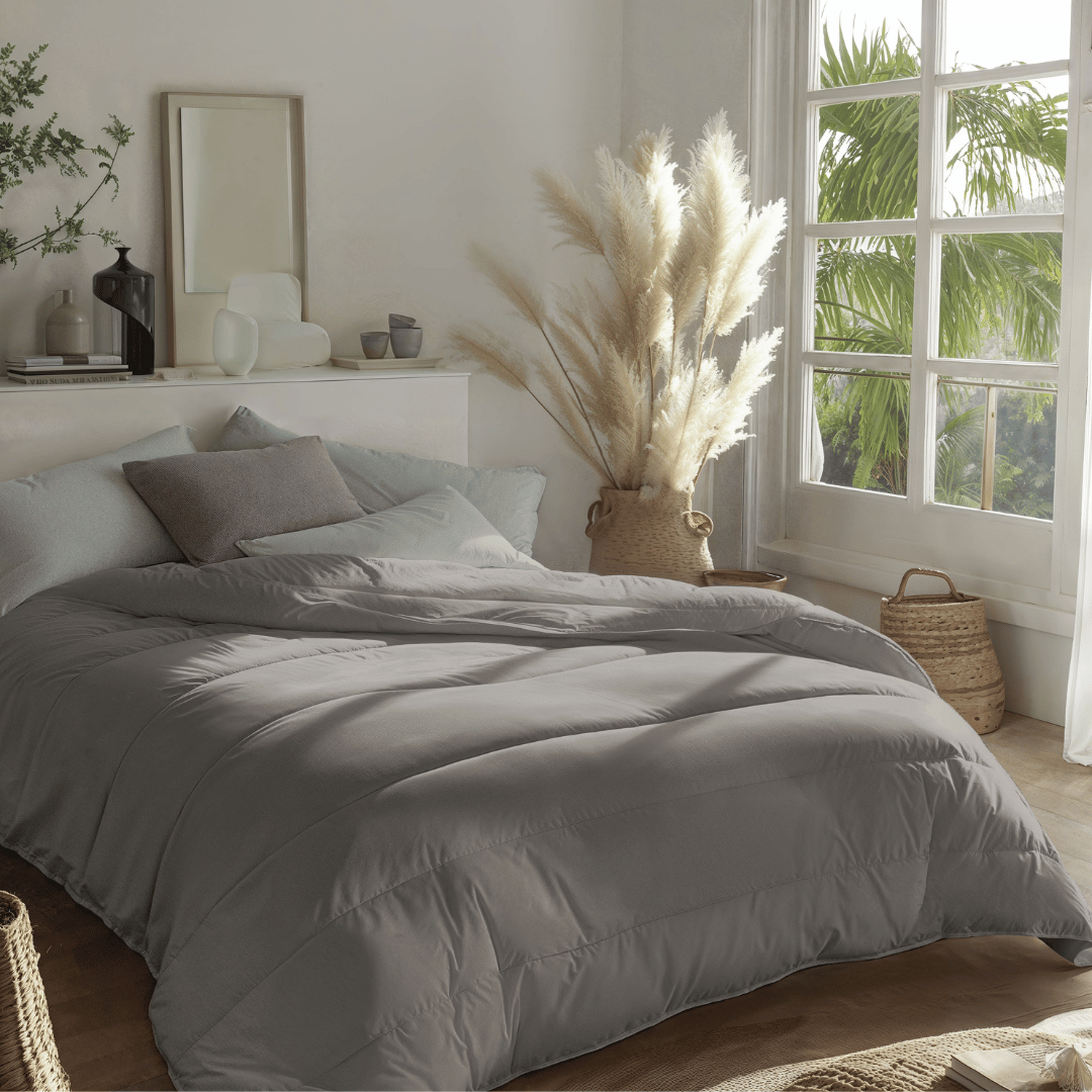 Zelesta Royalbed Light - Gris Tendre