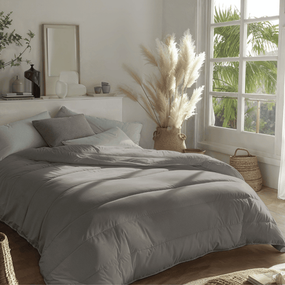 Zelesta Royalbed Light - Gris Tendre