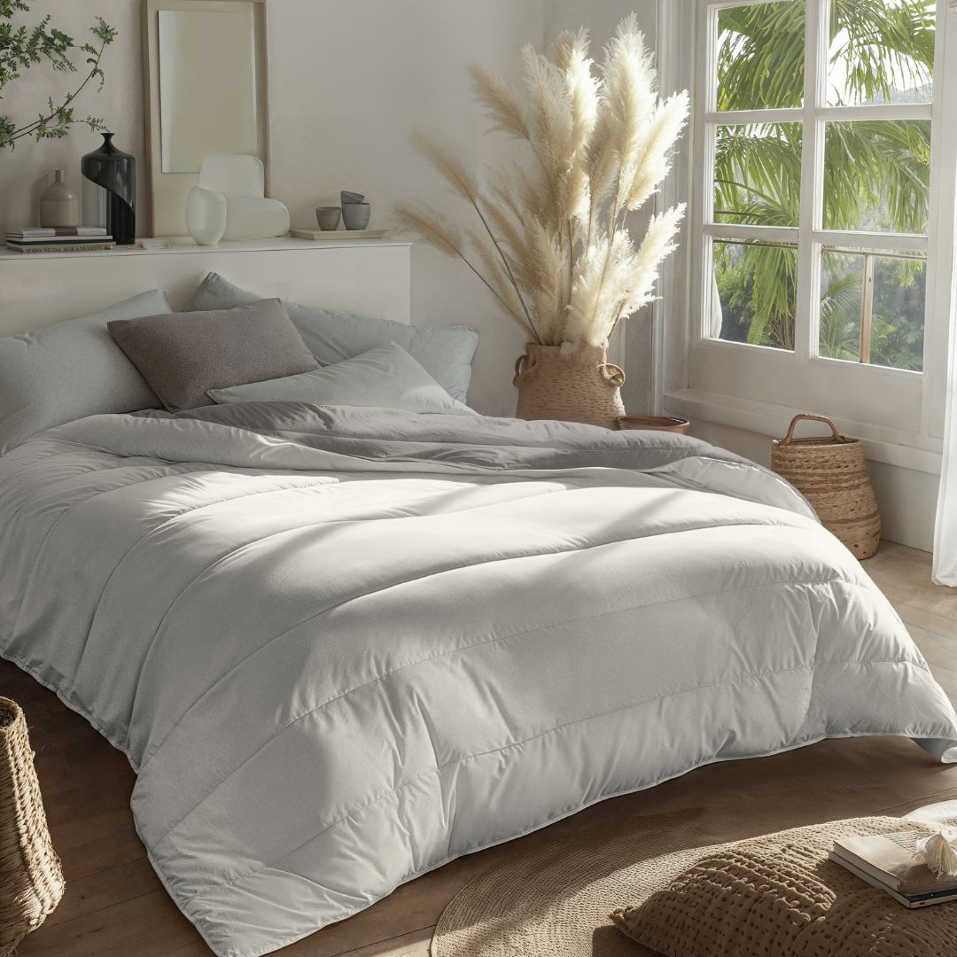Zelesta Royalbed Light - Tendre Gris et Crème