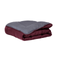 Zelesta Easybed Light - Violet & Anthracite