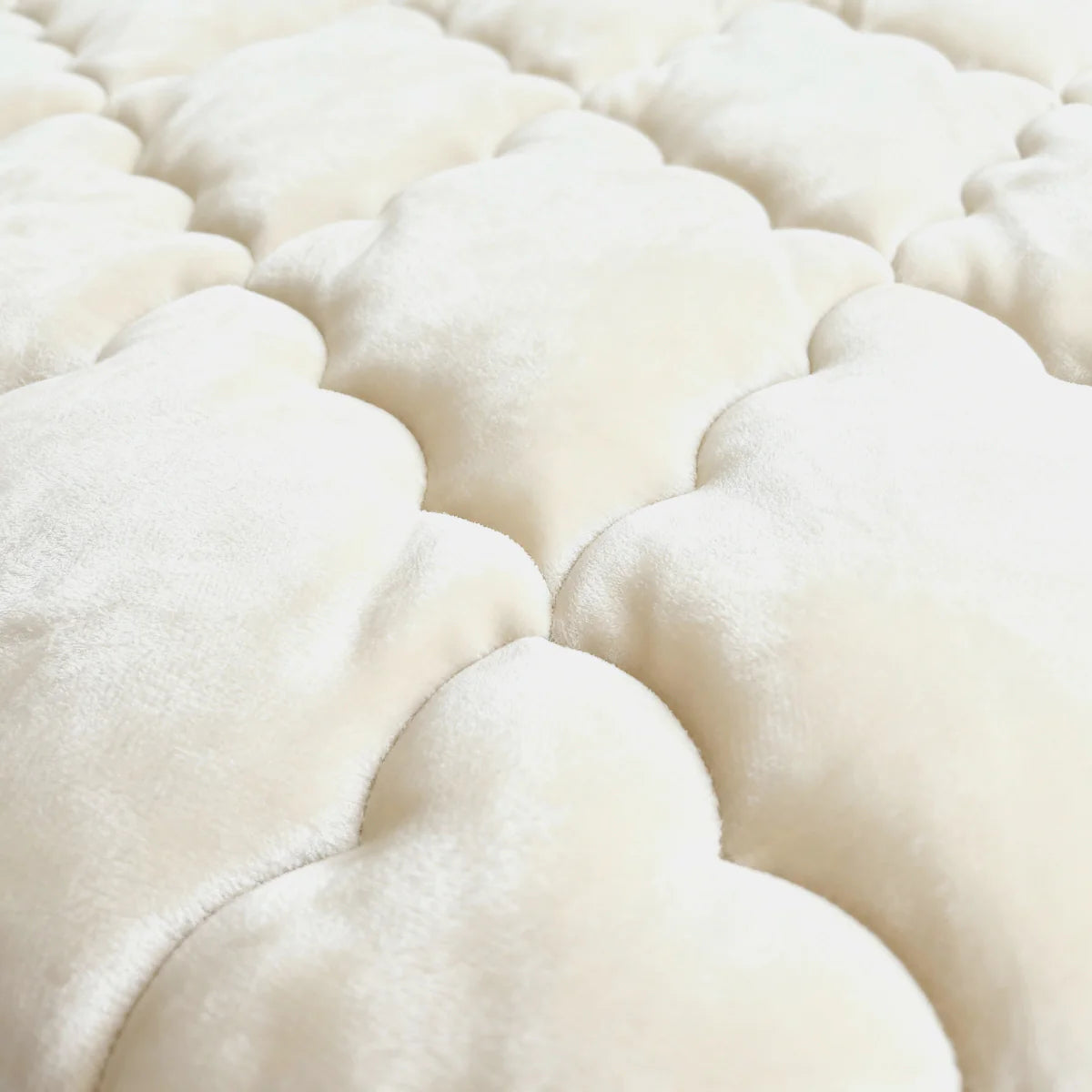 Zelesta Flanelle Uni - Beige