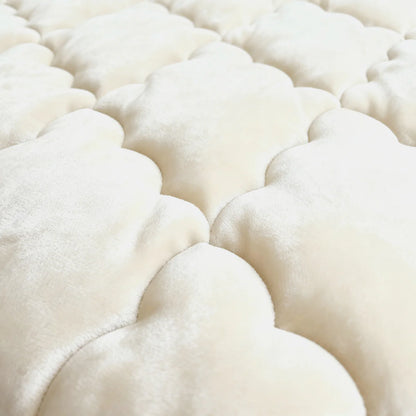 Zelesta Flanelle Uni - Beige