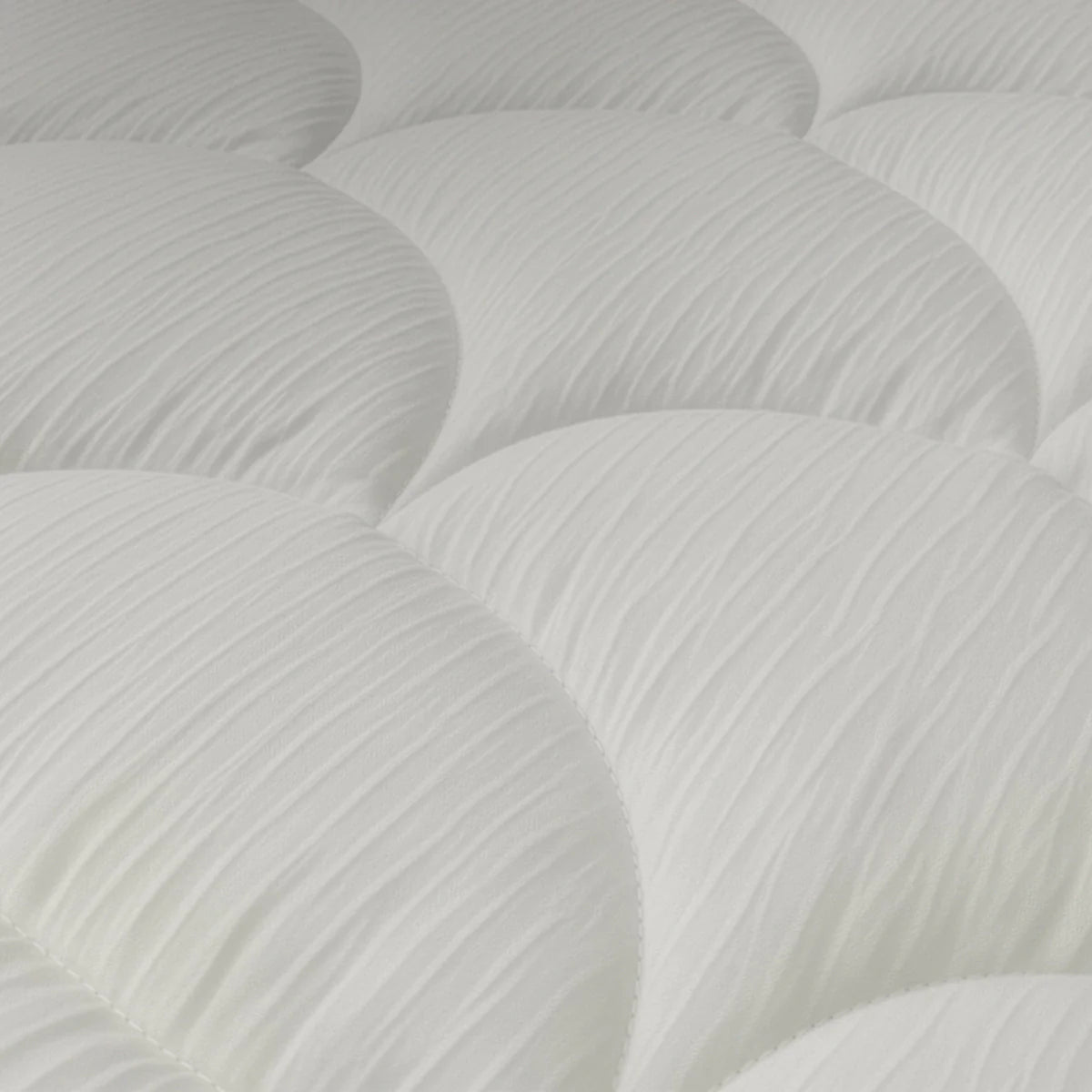 Zelesta Velvetbed Chic - Beige