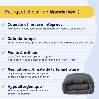 Zelesta Wonderbed - Gris Ardoise
