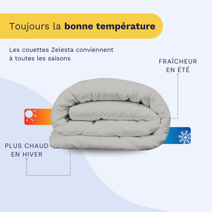 Zelesta Wonderbed - Gris Ardoise