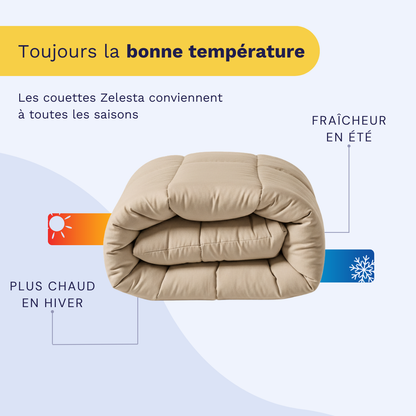 Zelesta Wonderbed - Sable Chaud