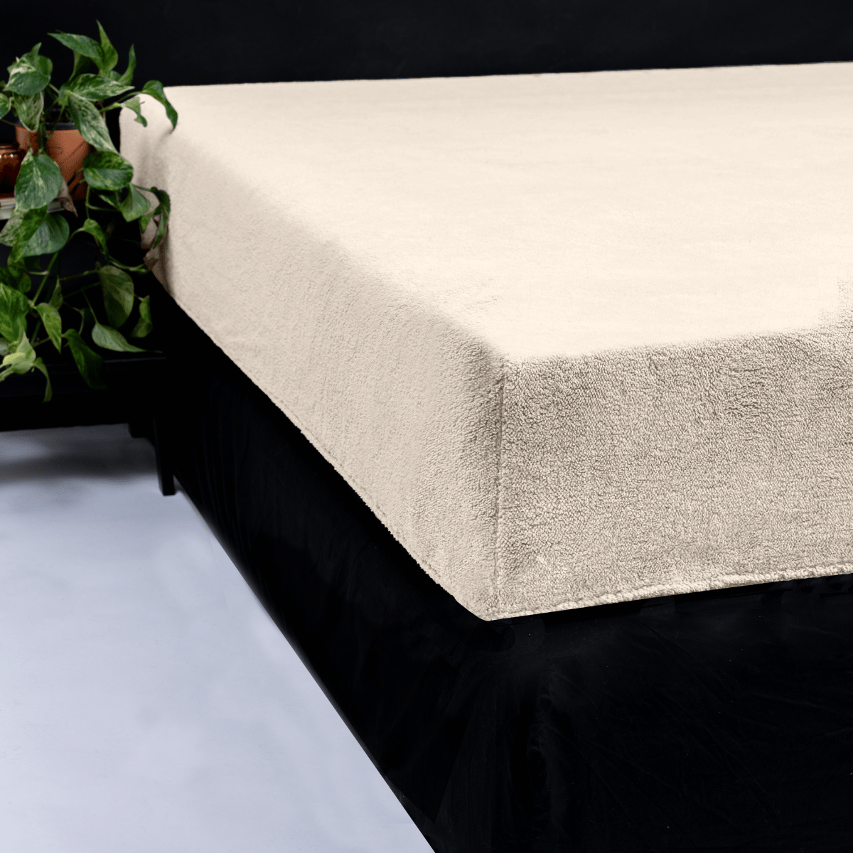Drap-housse Teddy - Creme