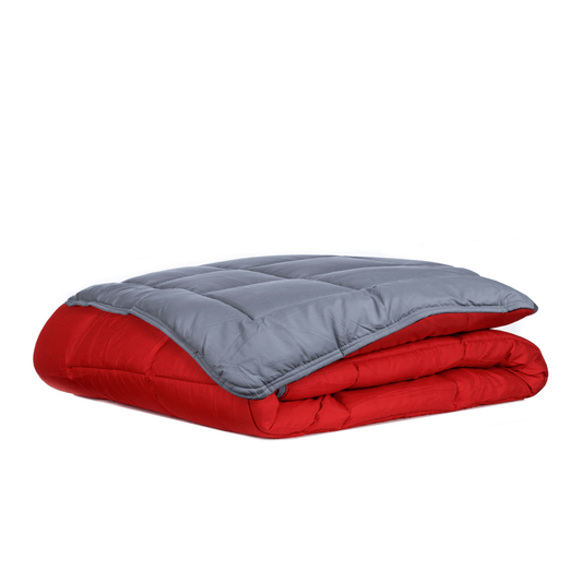 Zelesta Easybed Light - Anthracite & Rouge