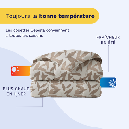 Zelesta Royalbed Coton - Beige d'Automne