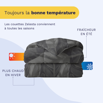 Zelesta Royalbed Coton - Cygne Noir