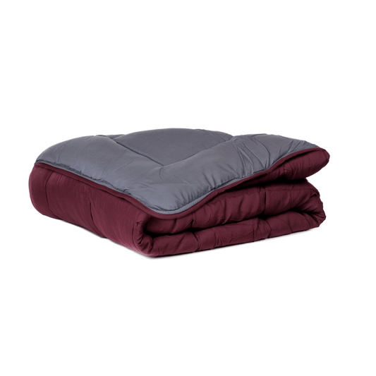 Zelesta Easybed - Violet & Anthracite