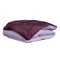 Zelesta Easybed - Violet & Lilas