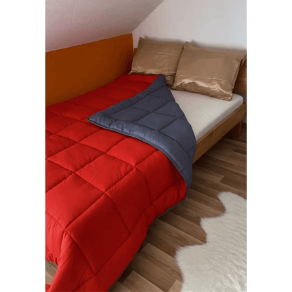 Zelesta Easybed - Anthracite & Rouge