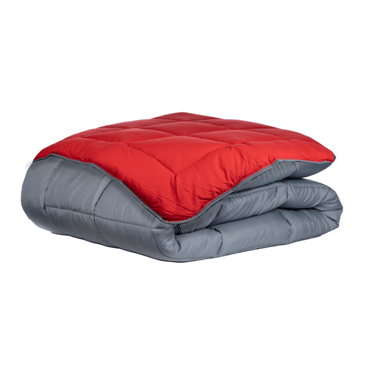 Zelesta Easybed - Anthracite & Rouge