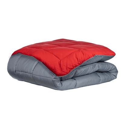 Zelesta Easybed - Anthracite & Rouge