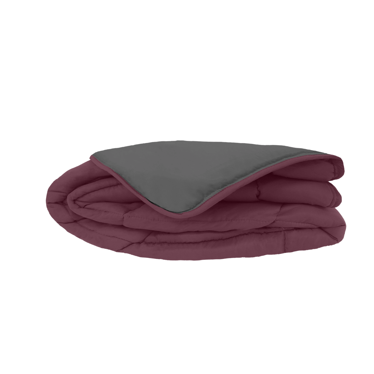 Zelesta Easybed Light - Violet & Anthracite