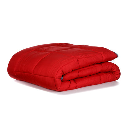 Zelesta Easybed - Anthracite & Rouge
