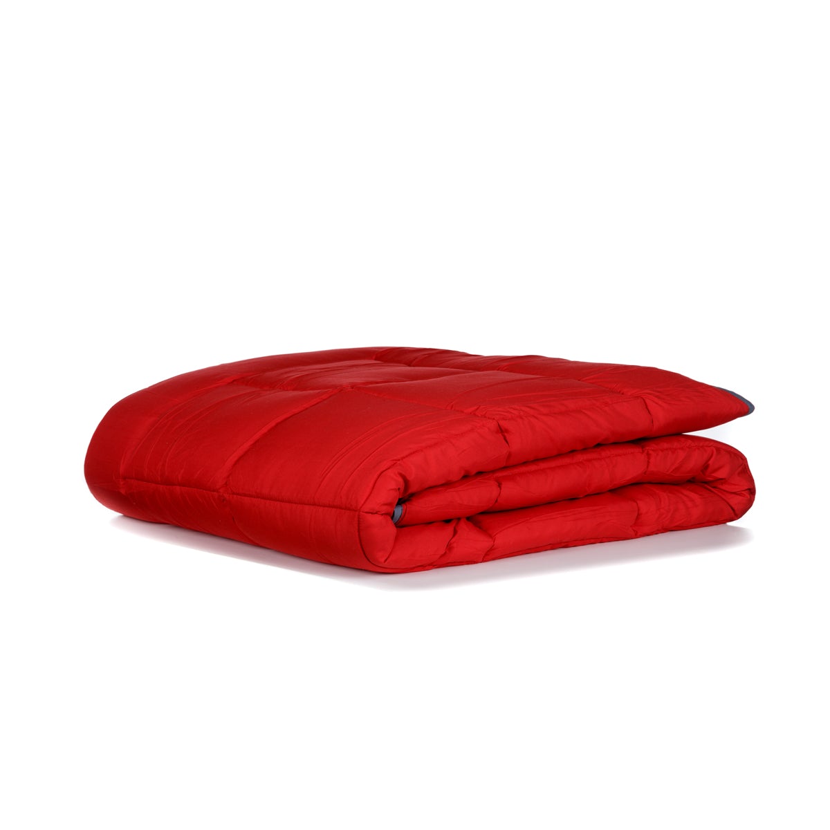 Zelesta Easybed Light - Anthracite & Rouge