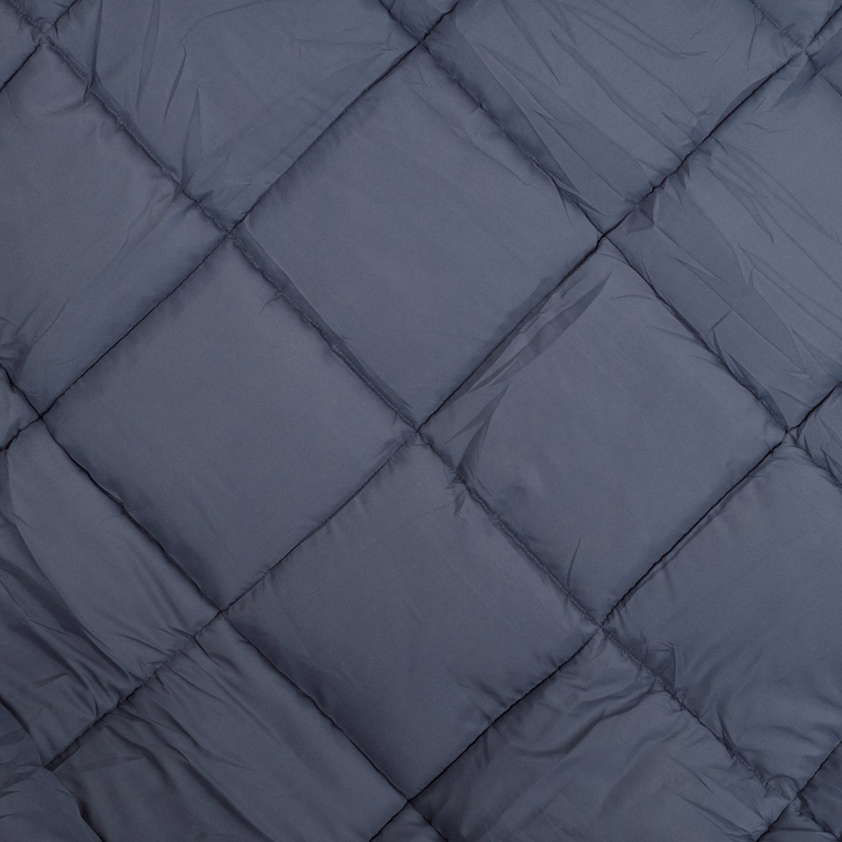 Zelesta Easybed Light - Anthracite & Rouge