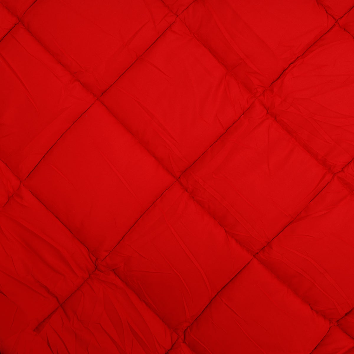 Zelesta Easybed Light - Anthracite & Rouge